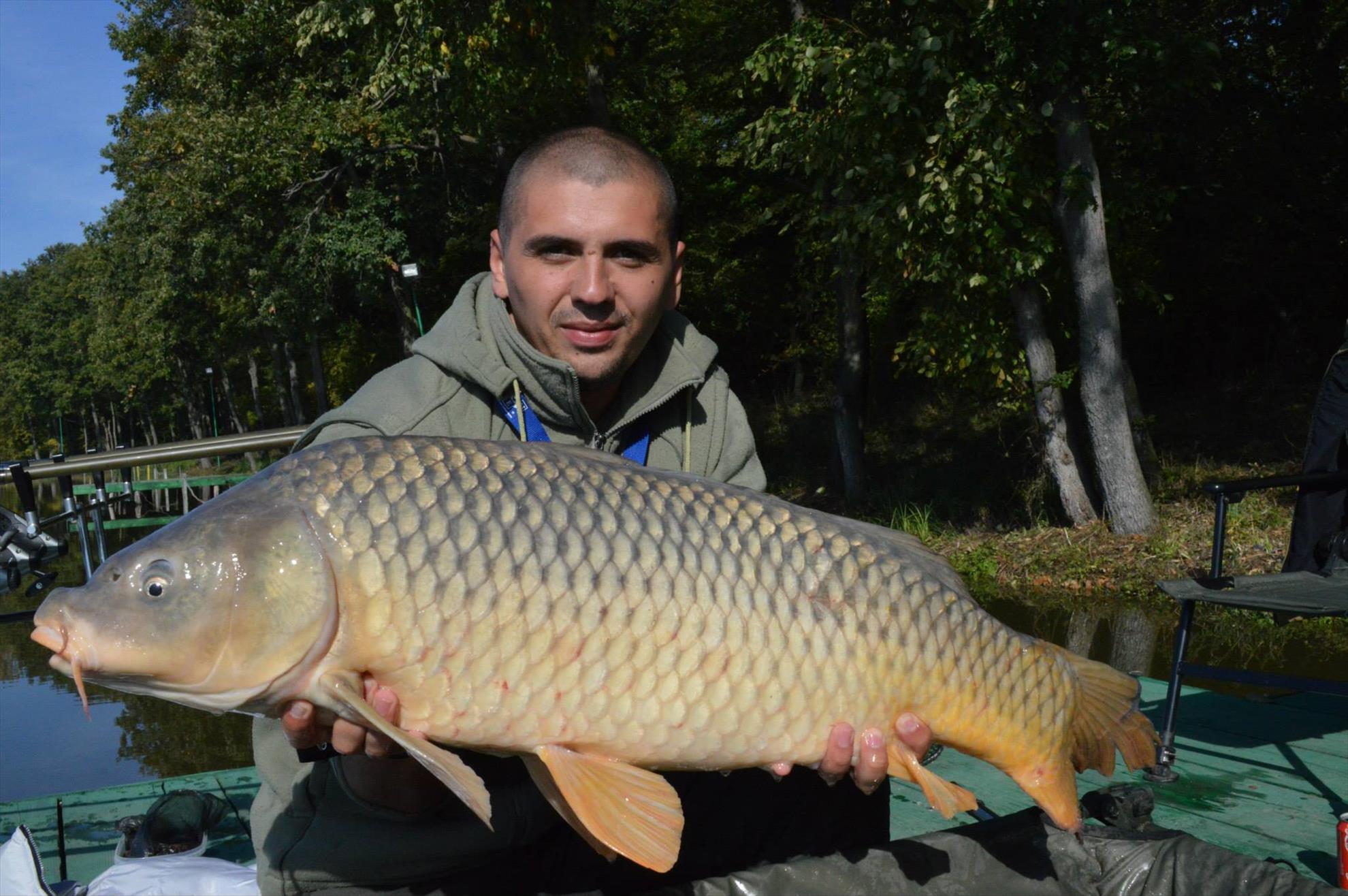 Crapturi - Ultima captura pe 2013